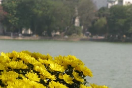 Hà Nội: Mặc áo hoa cho bờ hồ lịch sử